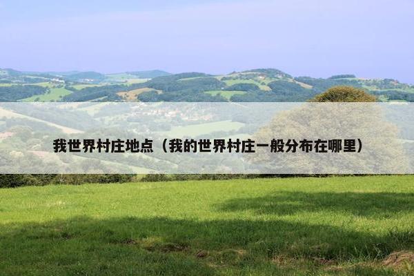 我世界村庄地点（我的世界村庄一般分布在哪里）