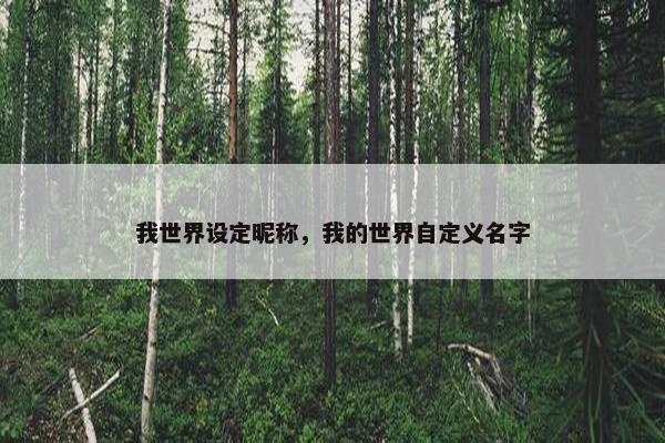 我世界设定昵称，我的世界自定义名字