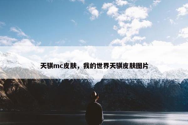 天骐mc皮肤，我的世界天骐皮肤图片