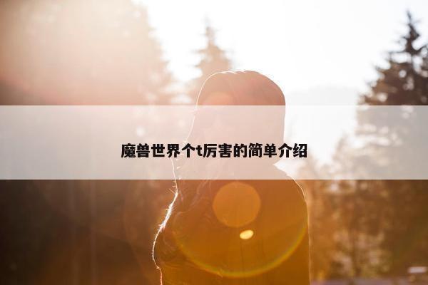魔兽世界个t厉害的简单介绍