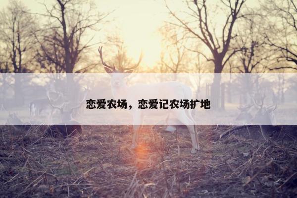 恋爱农场，恋爱记农场扩地
