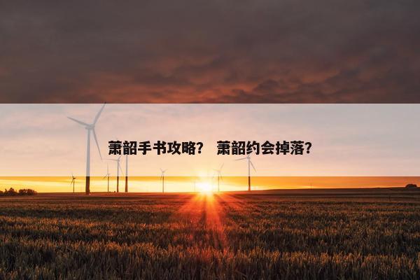 萧韶手书攻略？ 萧韶约会掉落？