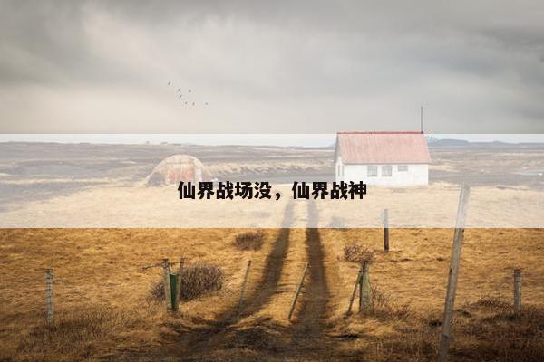 仙界战场没，仙界战神
