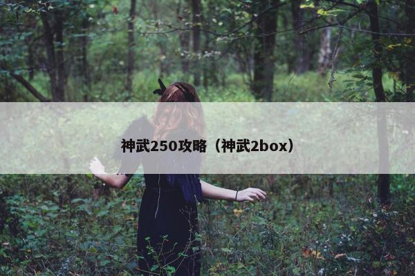 神武250攻略（神武2box）