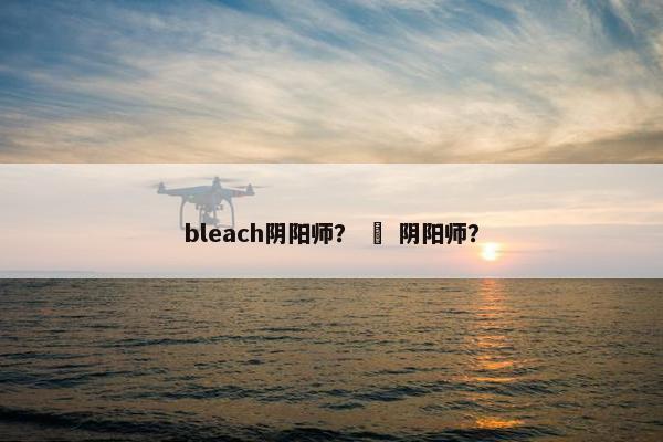 bleach阴阳师？ 鵺 阴阳师？