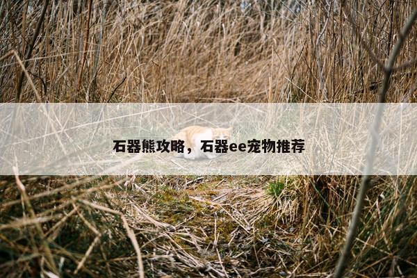 石器熊攻略，石器ee宠物推荐