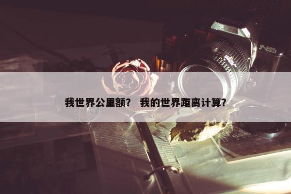 我世界公里额？ 我的世界距离计算？