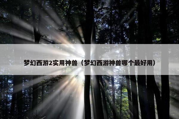 梦幻西游2实用神兽（梦幻西游神兽哪个最好用）