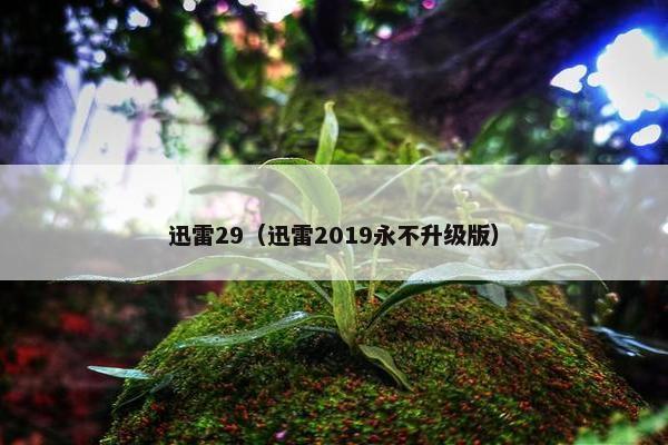 迅雷29（迅雷2019永不升级版）