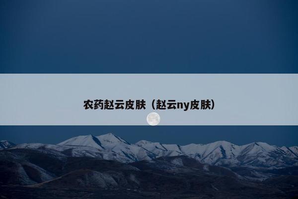 农药赵云皮肤（赵云ny皮肤）