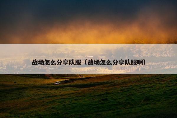 战场怎么分享队服（战场怎么分享队服啊）