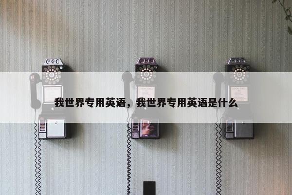 我世界专用英语，我世界专用英语是什么