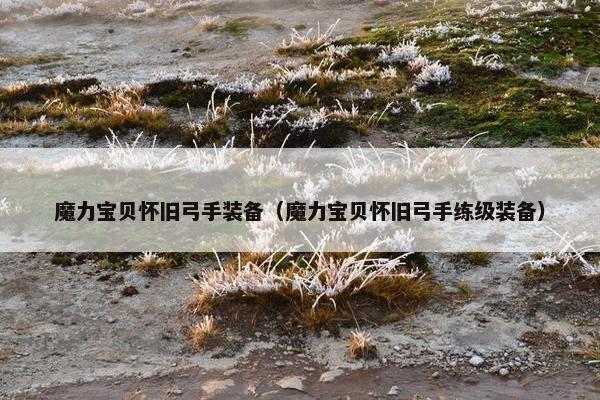 魔力宝贝怀旧弓手装备（魔力宝贝怀旧弓手练级装备）