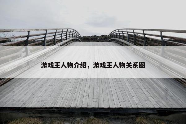 游戏王人物介绍，游戏王人物关系图