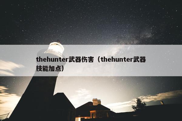 thehunter武器伤害（thehunter武器技能加点）