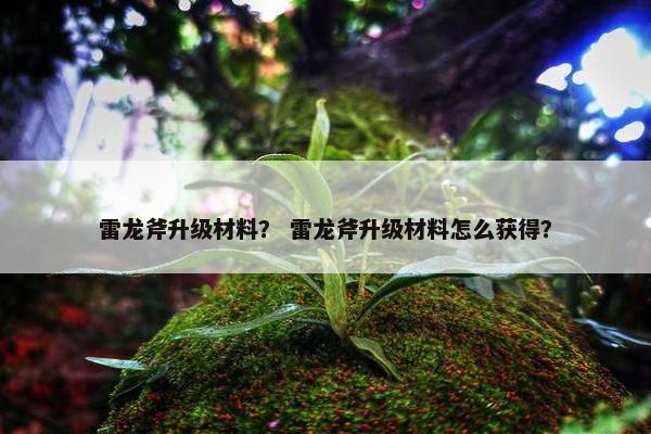 雷龙斧升级材料？ 雷龙斧升级材料怎么获得？