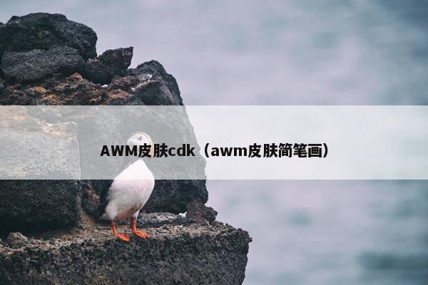 AWM皮肤cdk（awm皮肤简笔画）