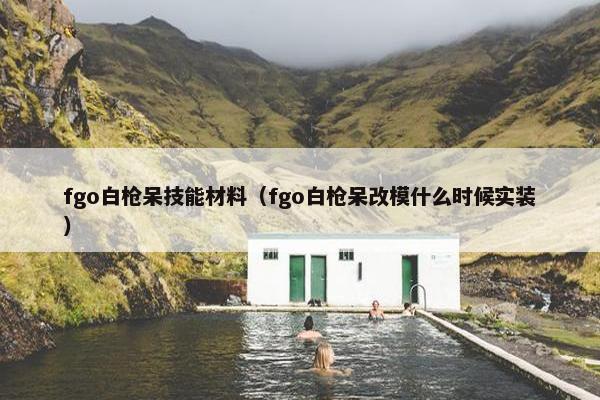 fgo白枪呆技能材料（fgo白枪呆改模什么时候实装）
