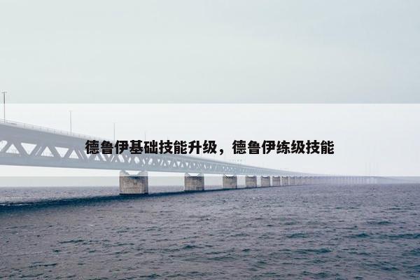 德鲁伊基础技能升级，德鲁伊练级技能