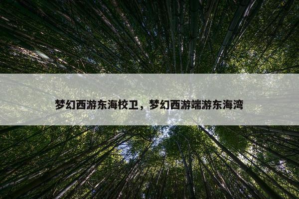 梦幻西游东海校卫，梦幻西游端游东海湾