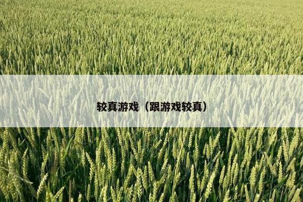 较真游戏（跟游戏较真）