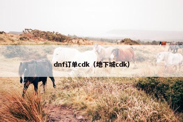 dnf订单cdk（地下城cdk）