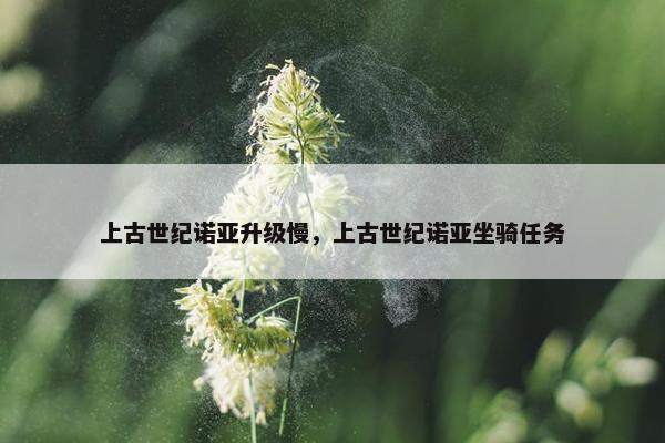 上古世纪诺亚升级慢，上古世纪诺亚坐骑任务