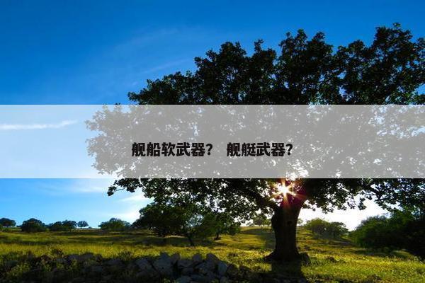 舰船软武器？ 舰艇武器？