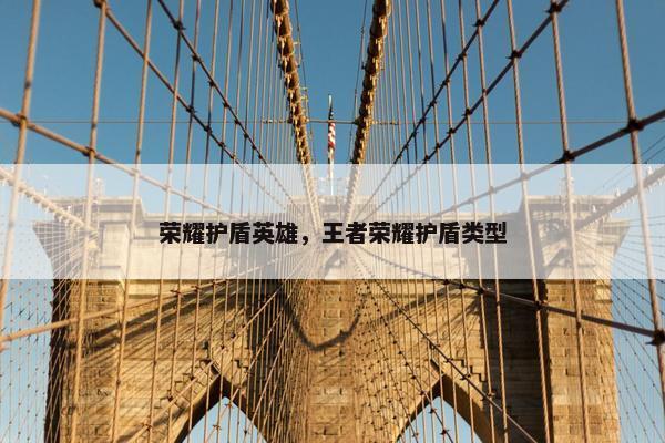 荣耀护盾英雄，王者荣耀护盾类型