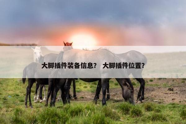 大脚插件装备信息？ 大脚插件位置？