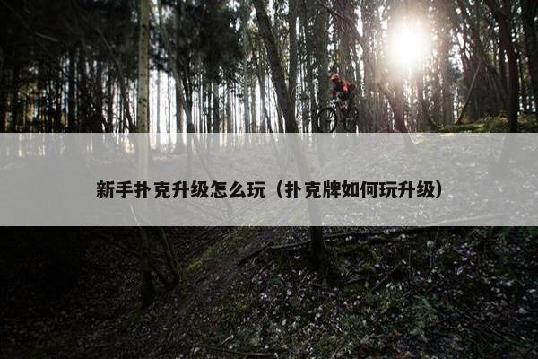 新手扑克升级怎么玩（扑克牌如何玩升级）