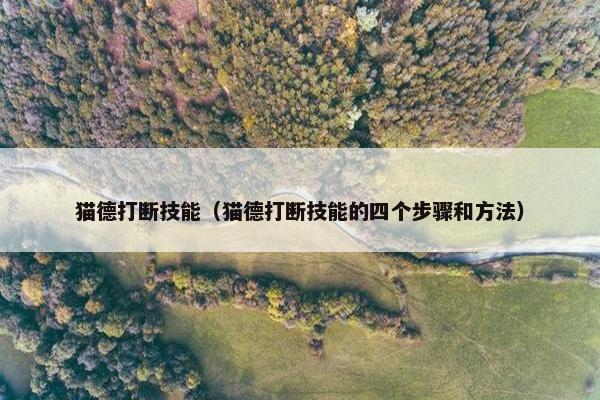 猫德打断技能（猫德打断技能的四个步骤和方法）