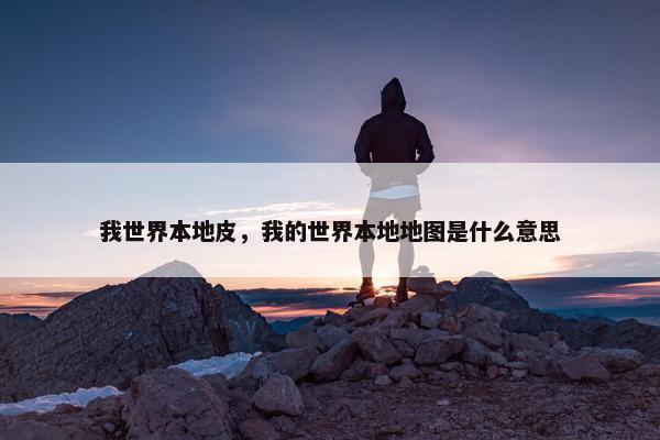 我世界本地皮，我的世界本地地图是什么意思