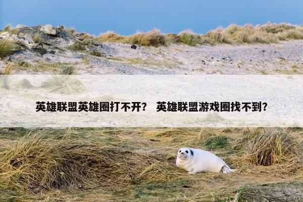 英雄联盟英雄圈打不开？ 英雄联盟游戏圈找不到？