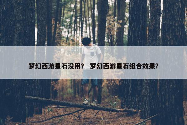 梦幻西游星石没用？ 梦幻西游星石组合效果？
