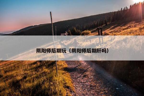 阴阳师后期玩（阴阳师后期肝吗）