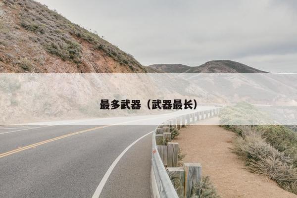 最多武器（武器最长）