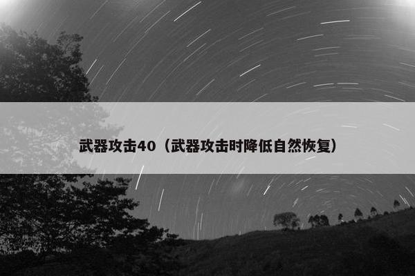 武器攻击40（武器攻击时降低自然恢复）