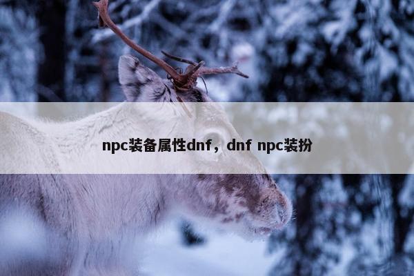 npc装备属性dnf，dnf npc装扮