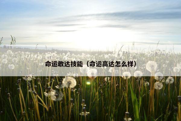 命运敢达技能（命运高达怎么样）