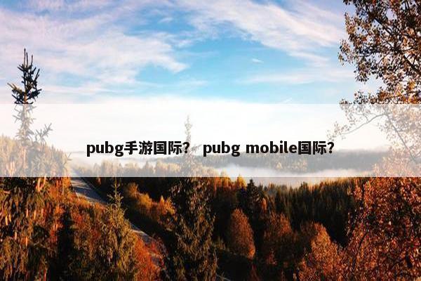 pubg手游国际？ pubg mobile国际？