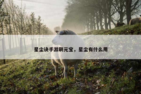 星尘诀手游刷元宝，星尘有什么用