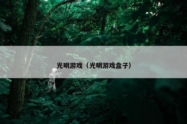 光明游戏（光明游戏盒子）