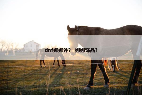 dnf娜娜外？ 娜娜饰品？
