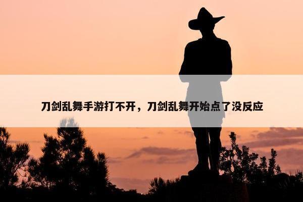 刀剑乱舞手游打不开，刀剑乱舞开始点了没反应
