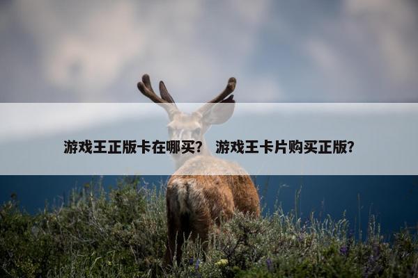 游戏王正版卡在哪买？ 游戏王卡片购买正版？