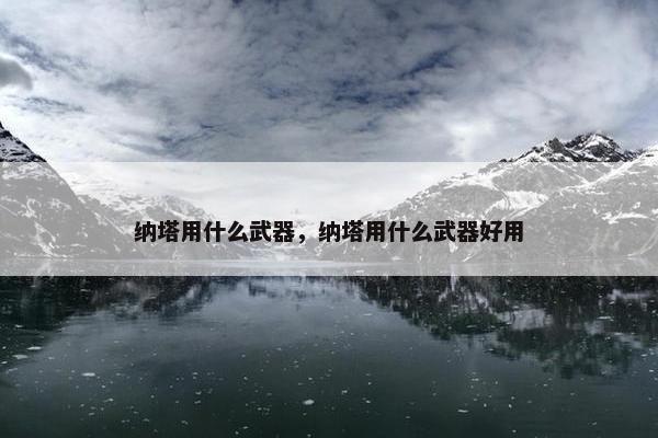 纳塔用什么武器，纳塔用什么武器好用