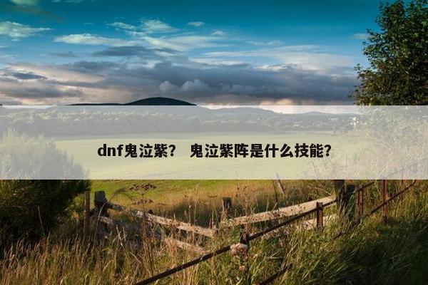 dnf鬼泣紫？ 鬼泣紫阵是什么技能？