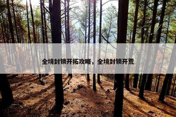 全境封锁开拓攻略，全境封锁开荒