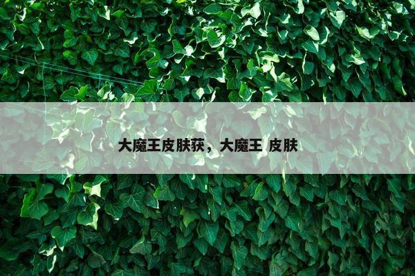 大魔王皮肤获，大魔王 皮肤